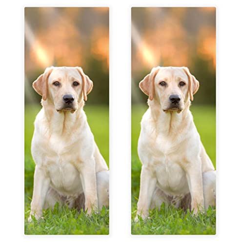 VBFOFBV Handtücher Weiches Handtuch für Badezimmer Küche Yoga Gym Deko Handtücher 2er Set, Labrador Tierhund von VBFOFBV
