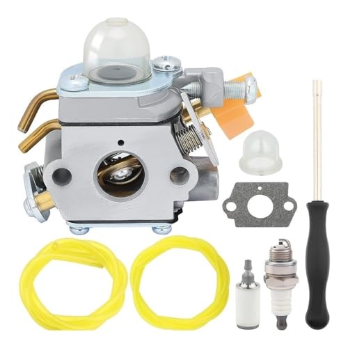 C1U-H60 Vergaser passend for RY28100 28120 28121 28140 28141 RY28160 von VBHGUYC