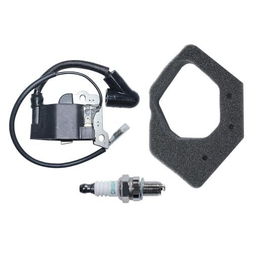 GX25 HHT25S WX10K Motor-Zündspulensatz 30500-ZOH-013 30500-Z0H-023 17211-ZOH-000 GX25 HHT25S WX10K Motor-Zündspulensatz 30500-ZOH-013 30500-Z0H-023 17211-ZOH-000 von VBHGUYC