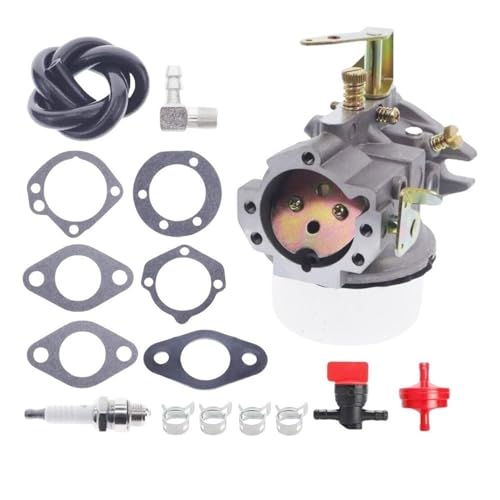 Vergaser passend for K241 K301 M10 M12 10 PS 12 PS 4785323S 4709101S 47-053-13 von VBHGUYC