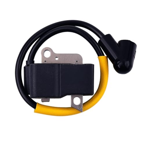 Zündspule passend for 223L 223R 323R 323L 323RJ 325RJ 537418701 von VBHGUYC