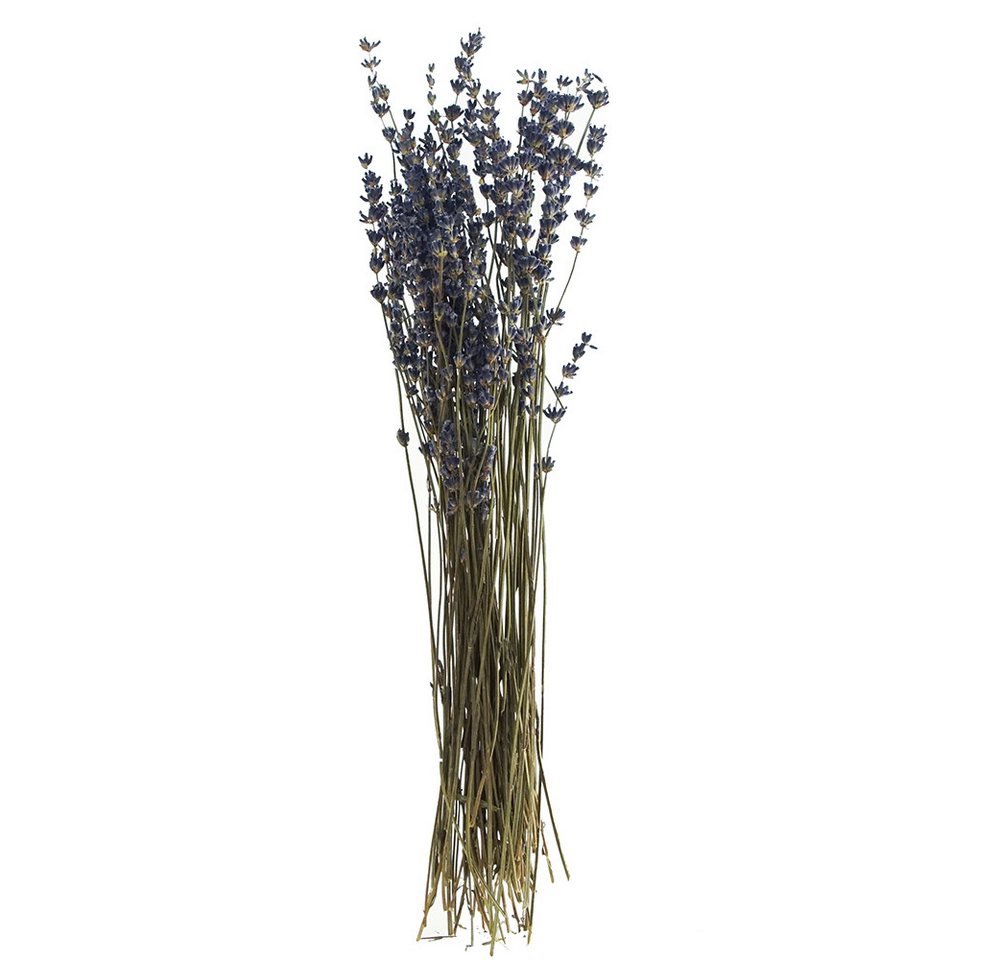 Kunstpflanze Lavendel, VBS, 30 cm lang von VBS