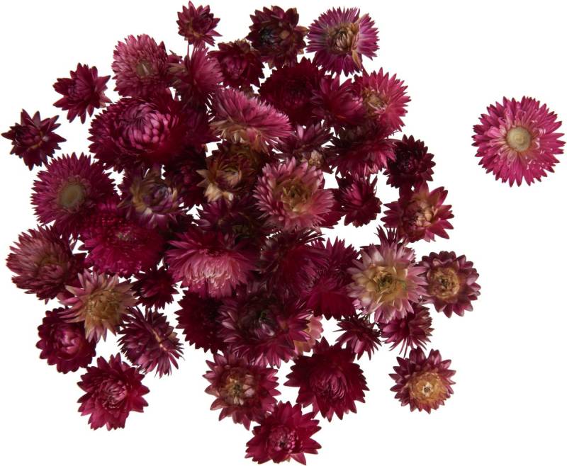 Kunstpflanze Strohblumenköpfe in Box, VBS, 20 - 30 g von VBS