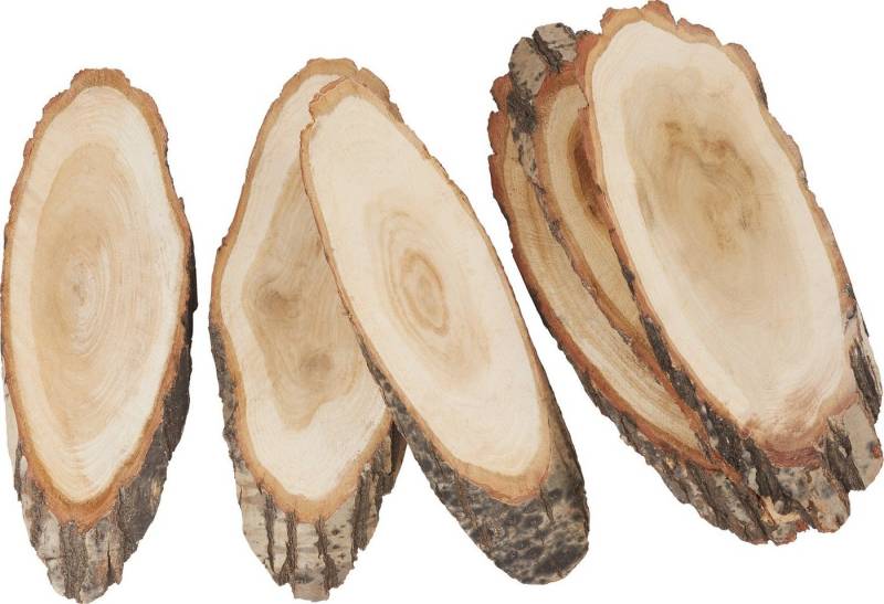 VBS XXL Rindenscheiben Baumscheiben Oval, 30 cm x 12 cm 6er-Pack von VBS XXL
