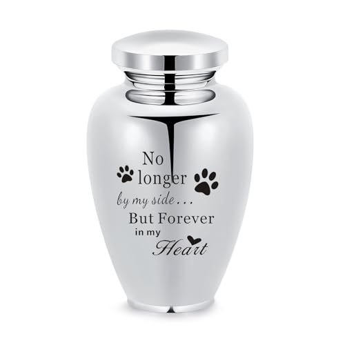 Große Urnens für Hund Katze Asche Einäscherung Urnen für menschliche Asche Edelstahl Beerdigung Memorial Keepsake Urnen für Ash Halter (B-Silber-No-L) von VCCWYQK
