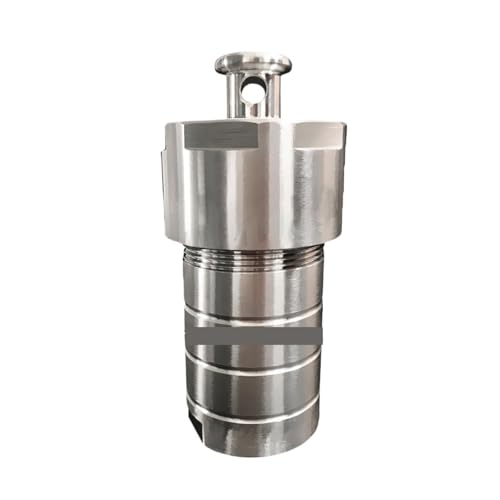 Autoklavreaktor, 25–500 ml hydrothermischer Autoklavenreaktor mit PTFE-Kammer, hydrothermischer Synthese-Hochdruck-Aufschlusstank(15ml) von VCHICS