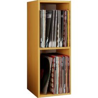 Schallplatten-Regal "Platto 2-Fach" Buche von VCM