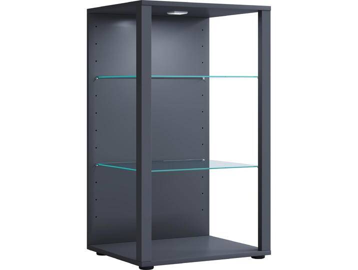 VCM, Vitrine + Buffetschrank, Holz Glas Vitrine Sammelvitrine Glasvitrine Schaukasten Standvitrine Glasol XL (52 x 44 x 90 cm) von VCM