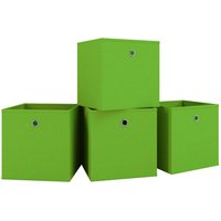 4er-Set Faltbox Klappbox "Boxas" - ohne Deckel Rot 4er-Set Faltbox Klappbox "Boxas" - ohne Deckel Rot von VCM