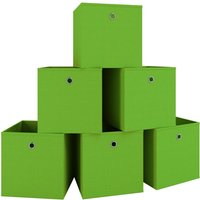 6er-Set Faltbox Klappbox "Boxas" - ohne Deckel Rot von VCM