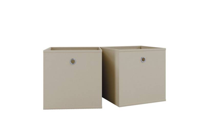 VCM Faltbox 2er Set Faltbox Klappbox Aufbewahrungsbox Boxas von VCM