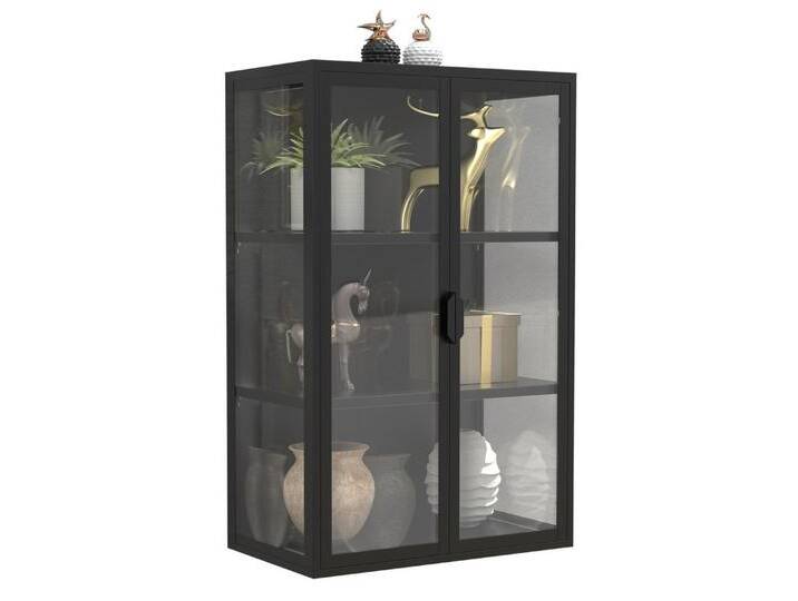VCM Hängevitrine Stahl Wandvitrine Hängevitrine Vitrine Glas Flokas, schwarz, Schwarz von VCM