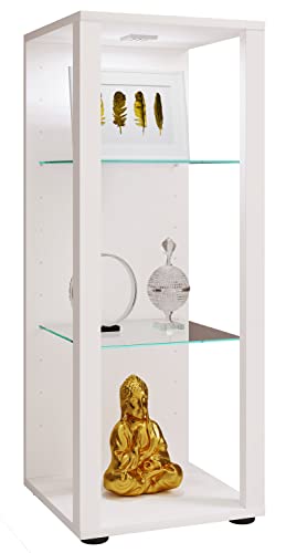 VCM Glasvitrine stehend | Vitrine Glas mit ESG-Sicherheitsglas | Maße ca. H. 90 x B. 35 x T. 35 cm | Standvitrine Glas | Modern und platzsparend | Glas Vitrinenschrank – Glasol M von VCM