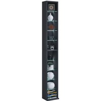Regal Rasato XL Schwarz von VCM