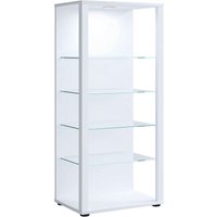 Standvitrine "Glasol III" Weiß von VCM