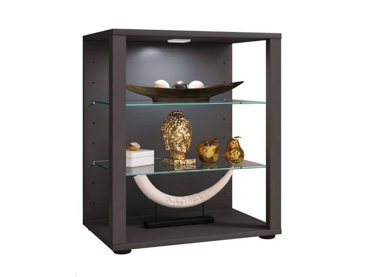 VCM Standvitrine Holz Glas Stand Vitrine Sammelvitrine Glasol L von VCM