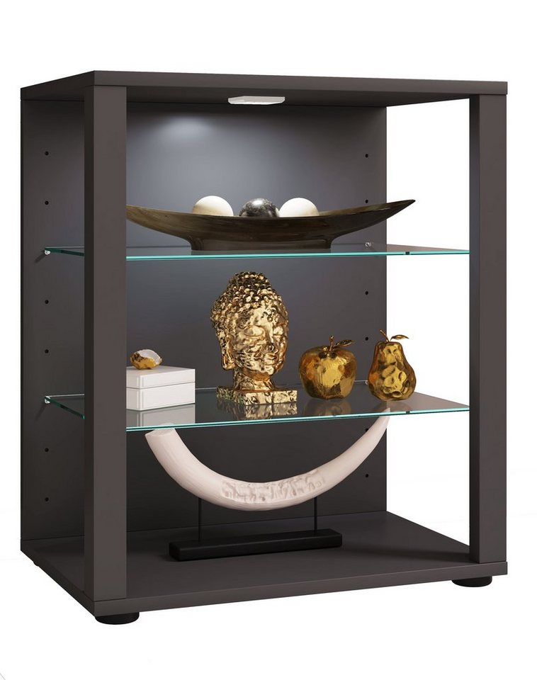 VCM Standvitrine Holz Glas Stand Vitrine Sammelvitrine Glasol L von VCM