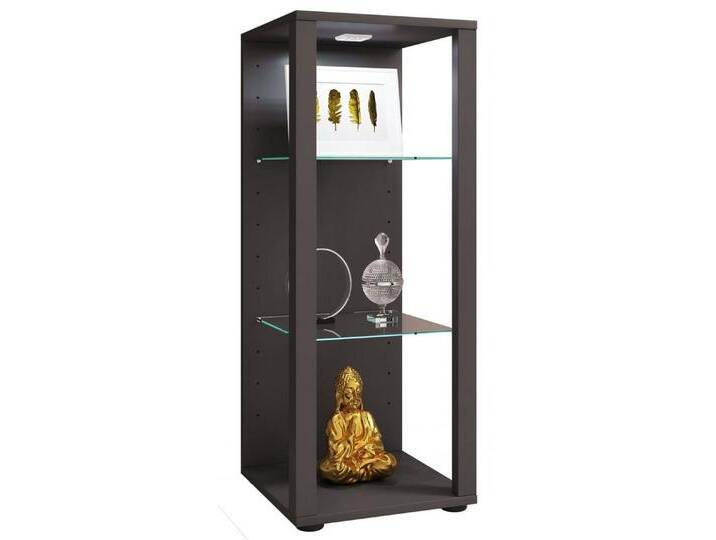 VCM Standvitrine Holz Glas Stand Vitrine Sammelvitrine Glasol M, schwarz, Anthrazit VCM Standvitrine Holz Glas Stand Vitrine Sammelvitrine Glasol M, schwarz, Anthrazit von VCM