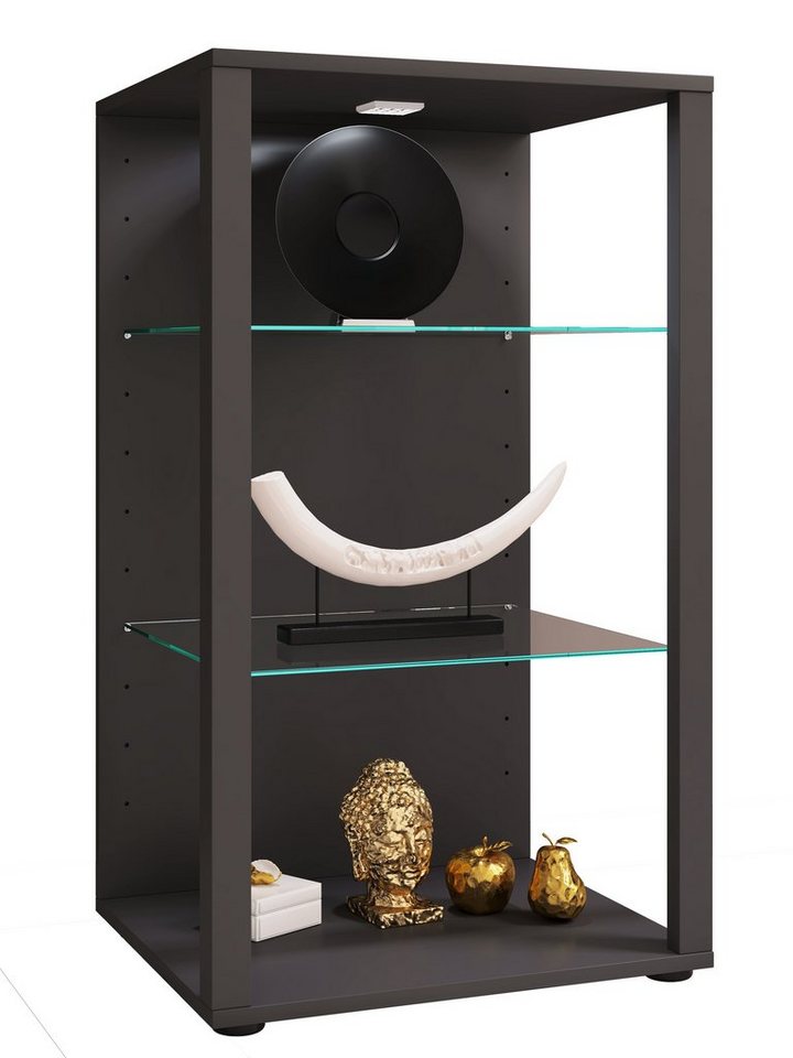 VCM Standvitrine Holz Glas Stand Vitrine Sammelvitrine Glasol XL von VCM