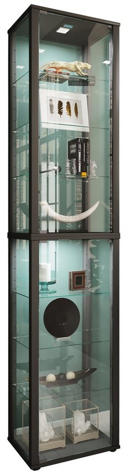 VCM Standvitrine Holz Glas Stand Vitrine Sammelvitrine Kavisa XL von VCM