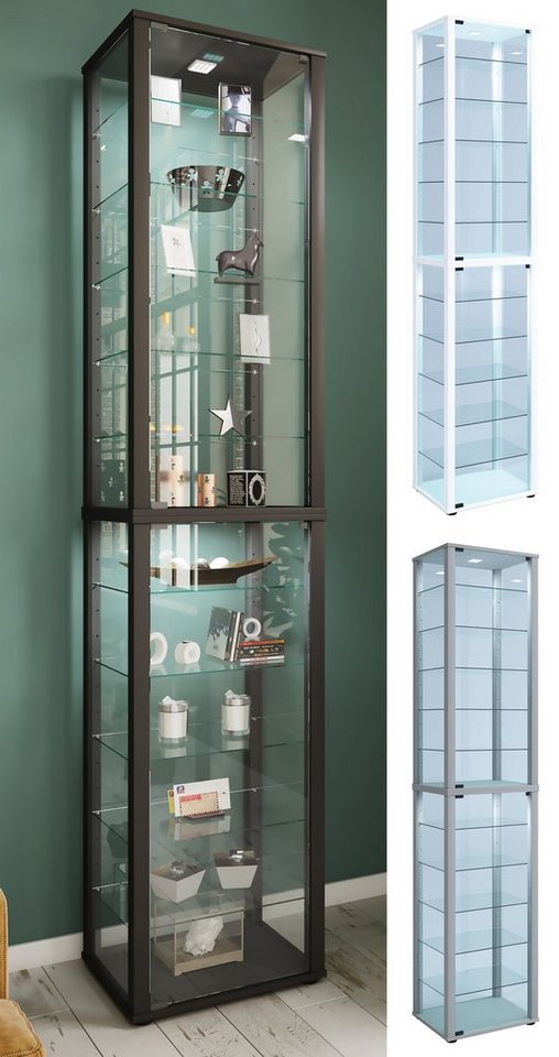 VCM Standvitrine Holz Glas Stand Vitrine Sammelvitrine Kavisa XXL von VCM