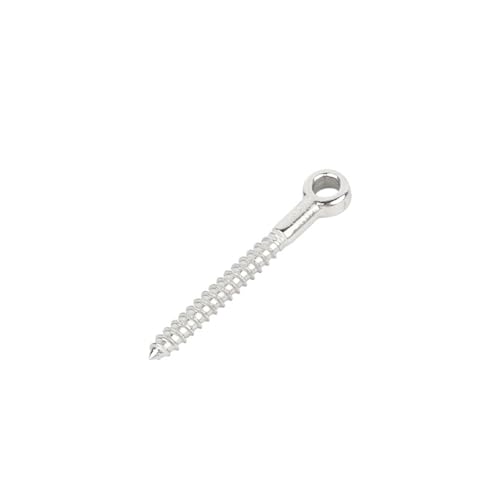 M4/M5/M6/M8/M10 316 Edelstahl Augenform Schrauben Holz Terminal Ring Öse Haken FüR Rolle Des Befestigens Und HäNgens(M6X55,18pcs) von VCSZYAFX