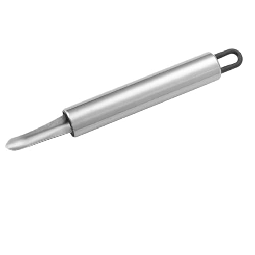 10 stücke Edelstahl Obst Set Kirsche Olive Corer Werkzeug Rote Dattel Jujube Pit Remover Longan Lychee Deseeder Küche Gadget 10 stücke Edelstahl Obst Set Kirsche Olive Corer Werkzeug Rote Dattel Jujube Pit Remover Longan Lychee Deseeder Küche Gadget von VDAMTPOGZ
