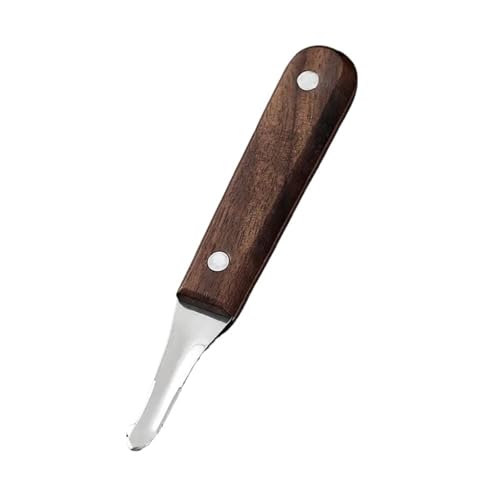 Edelstahl Drachen Auge Fleisch Graben hine Fre Litschi ell Peeling Werkzeug Qui(Quantity (1 piece)) von VDAMTPOGZ