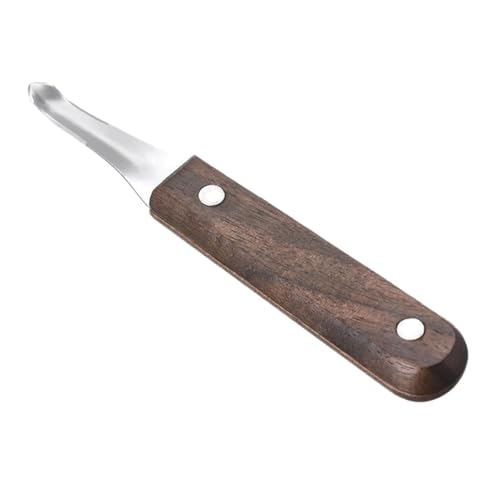 Edelstahl Drachen Auge Fleisch Graben hine Fre Litschi ell Peeling Werkzeug Qui(Quantity (2 pieces)) von VDAMTPOGZ