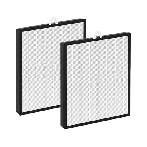 Hepa-Filter kompatibel for LEVOIT Vital 100S Luftreiniger, Aktivkohle-Vorfilter(As Shown 2 Pack) von VDAMTPOGZ