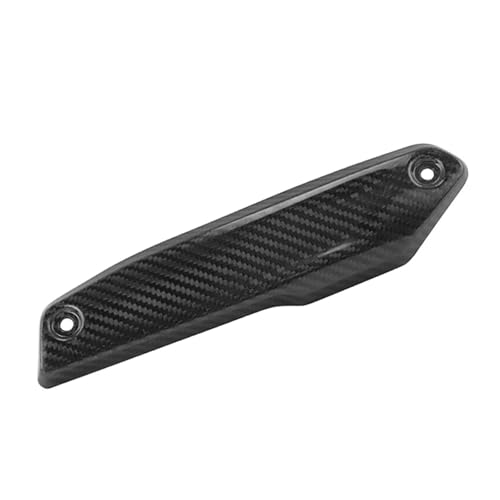 VDFNGFD Motorrad Kohlefaser Hitzeschild kompatibel mit BMW F900R F900XR von VDFNGFD