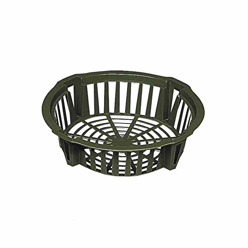 Blumenzwiebel Pflanzschale 22 cm Blumenzwiebel Pflanzschale 22 cm von VDG-Garten