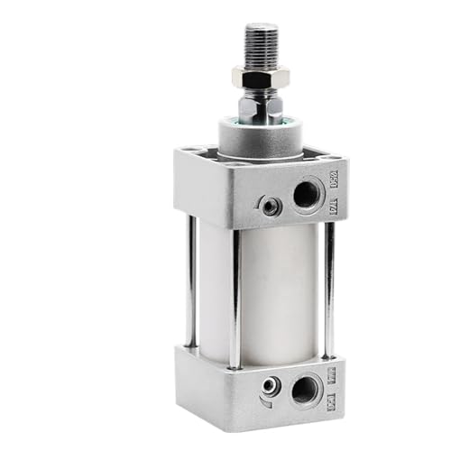 VDOQTLJT 1 stücke Standard Air Pneumatische Zylinder Kolben SC80/100/125mm Bohrung Doppeltwirkend 25-400mm hub mit Magnet(Stroke 125mm,SC100 (with Magnet)) von VDOQTLJT