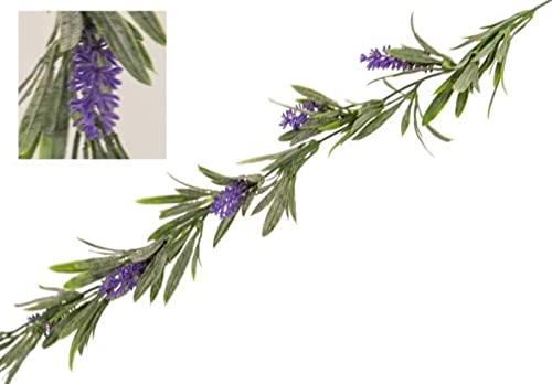 VEA SRL CADENTE M. Lavendel Classic 150cm YAO579 VEA SRL CADENTE M. Lavendel Classic 150cm YAO579 von VEA SRL