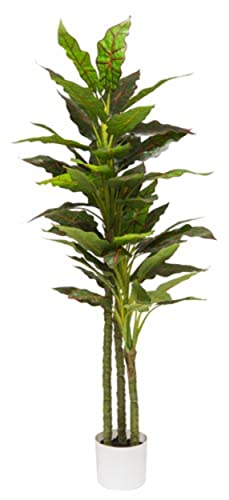 VEA SRL Pflanze G. ALOCASIA 120cm CHI57997 von VEA SRL