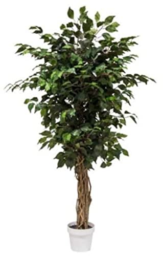 VEA SRL Pflanze G. FICUS 130cm 57189 von VEA SRL