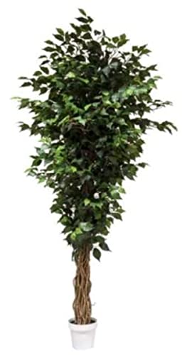 VEA SRL Pflanze G. FICUS 170cm 57190 von VEA SRL