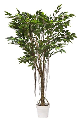 VEA SRL Pflanze G. FICUS REALTOUCH 150cm 57965 von VEA SRL