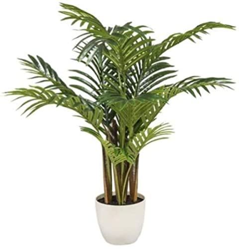VEA SRL Pflanze G. Palme 60 cm 57162 von VEA SRL