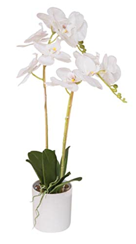 VEA SRL Pflanze Gr. Orchidee Real Touch 59 cm 5806 von VEA SRL