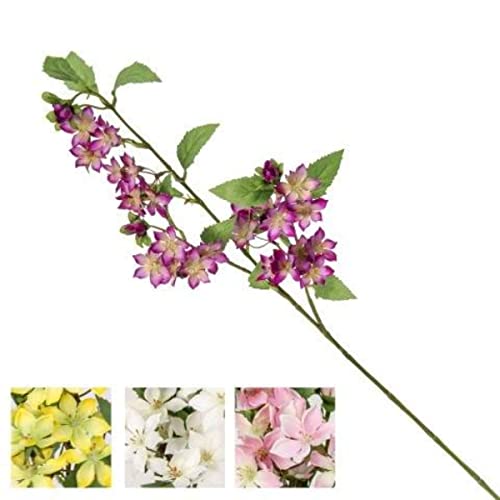 VEA SRL Stelo P. Feldblumen CHA55315 von VEA SRL