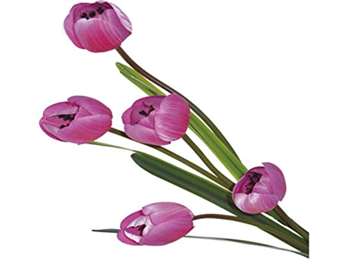 VEA SRL Stiel M. Tulpe 5 Blumen 17141 von VEA SRL