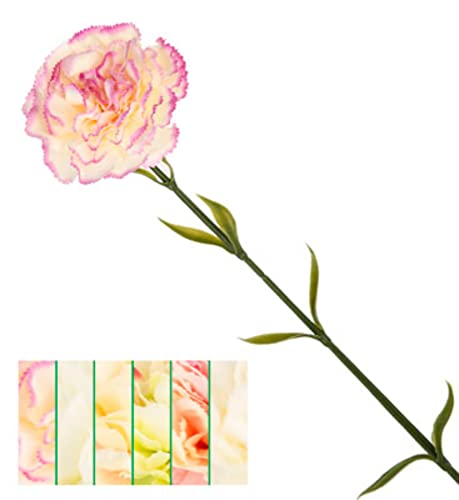 VEA SRL Stiel P. Nelke 65cm CHA43740 von VEA SRL