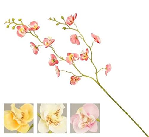 VEA SRL Stiel P. Orchidee Easy 86cm NIC55451 von VEA SRL