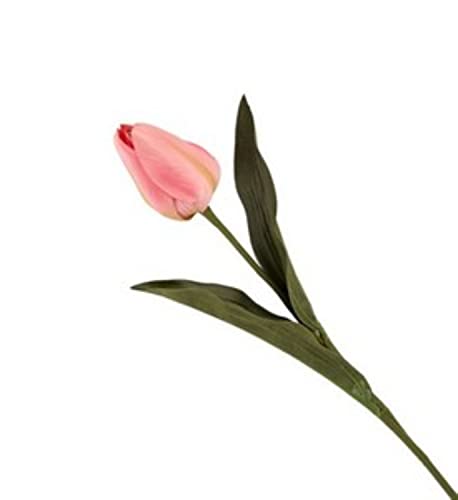 VEA SRL Stiel P. Tulpe NIN42637 von VEA SRL