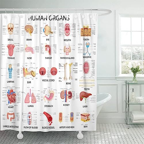 VEERAL Anatomie Duschvorhang 240x200 cm, 3D Karikatur Duschvorhang Anti-Schimmel Textil, Shower Curtains Polyester Stoff Wasserdicht Duschvorhänge für Badezimmer, Bad Vorhang mit 12 Haken von VEERAL