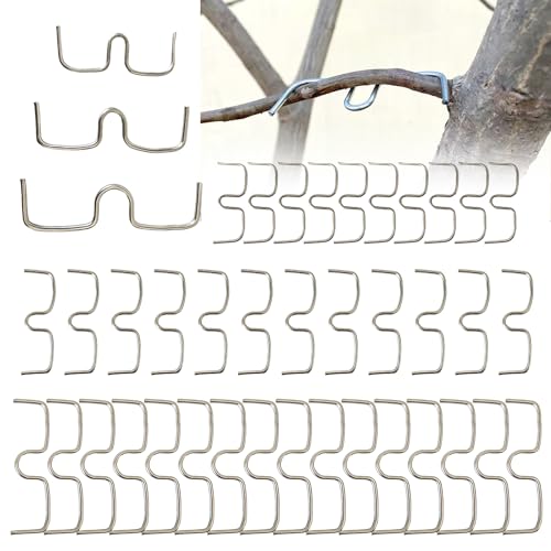 VEGCOO 38 Stück Astspreizer,Astspreizer Für Obstbäume,Zweigspreize Für Gartenbäume,Geeignet Für Apfel,Birnen,Pfirsich,Pflaumen Und Kirschbäume (M8-10 Stück,M10-12 Stück,M13-16 Stück) von VEGCOO