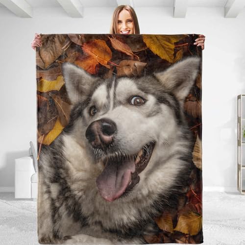 VEGlkj Funnyan Überwurfdecke mit Schäferhund, weicher Plüsch, leicht, warm, flauschig, Flanelldecke für Couch, Schlafzimmer, Reisen, Bett, perfektes bequemes Geschenk für alle, 127 x 152 cm VEGlkj Funnyan Überwurfdecke mit Schäferhund, weicher Plüsch, leicht, warm, flauschig, Flanelldecke für Couch, Schlafzimmer, Reisen, Bett, perfektes bequemes Geschenk für alle, 127 x 152 cm von VEGlkj