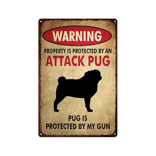 VEGlkj Metall-Blechschild "Beware of the Tortoise", Warnschild für Zuhause, Outdoor, Garten, 20,3 x 30,5 cm von VEGlkj