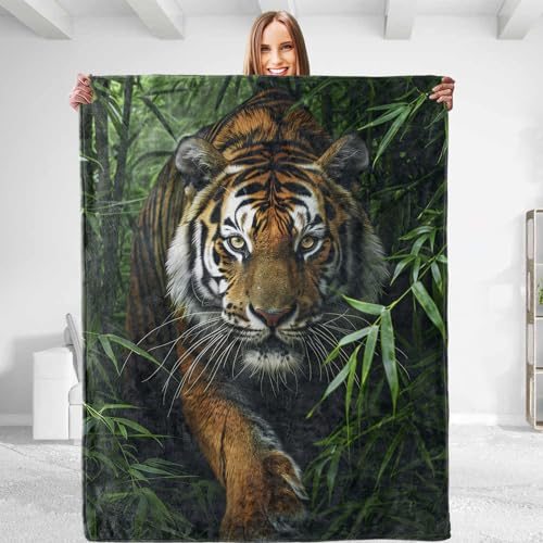 VEGlkj Niedliche Elefanten-Überwurfdecke für Damen und Herren – weicher Plüsch-Flanell, bequem und leicht, warm und flauschig für Couch, Schlafzimmer, Reisen, Bett, Wohnzimmer und Outdoor, 127 x 152 VEGlkj Niedliche Elefanten-Überwurfdecke für Damen und Herren – weicher Plüsch-Flanell, bequem und leicht, warm und flauschig für Couch, Schlafzimmer, Reisen, Bett, Wohnzimmer und Outdoor, 127 x 152 von VEGlkj